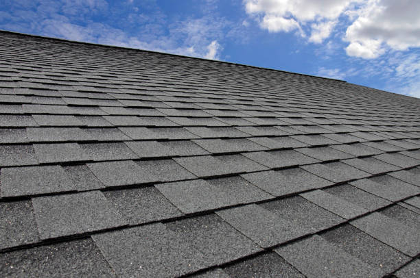 Best Roof Insulation Installation  in Westland, MI